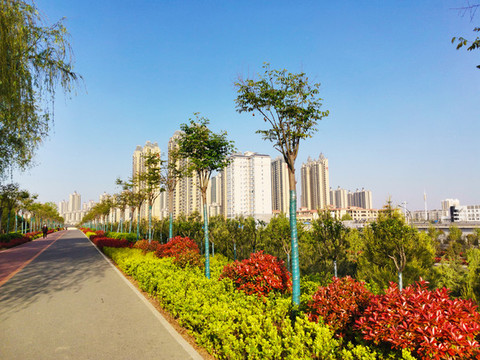 園林景觀