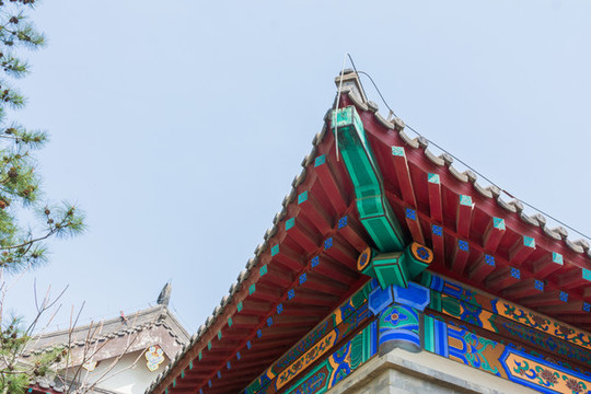 盛京碑林公園