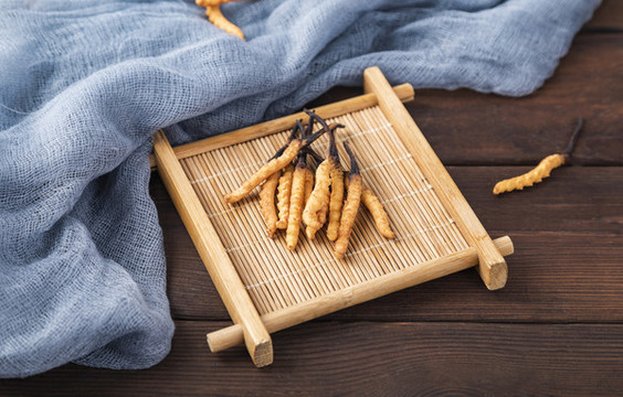 滋補(bǔ)中藥冬蟲夏草