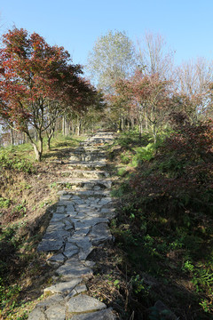山道