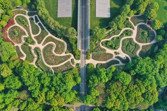 常州紫荊公園