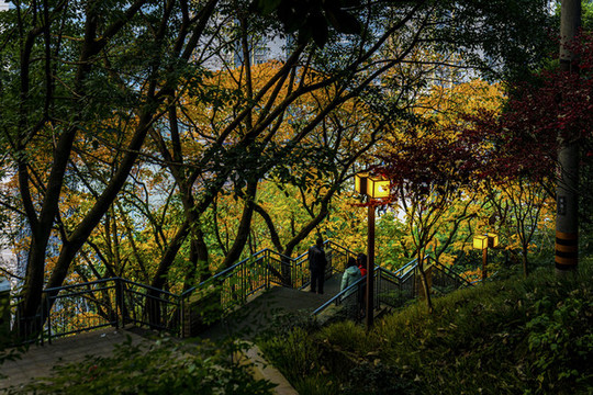 重慶半山崖線步道風(fēng)光