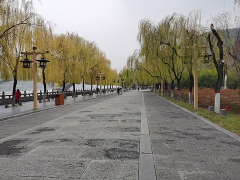 伊河大道