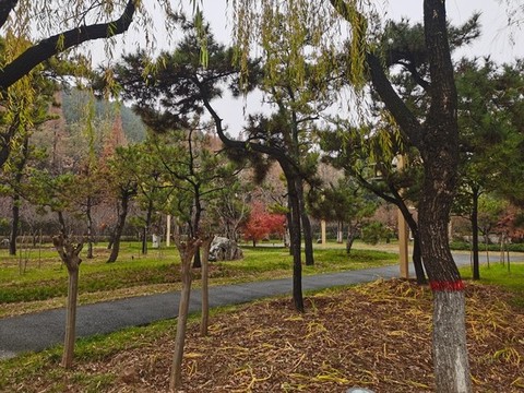 伊河岸邊