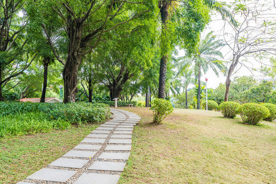 公園石階汀步