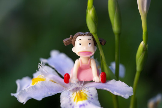 坐在花上的小女孩