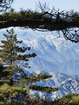 黃山群峰頂