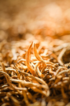 武夷山紅茶金駿眉金駿眉