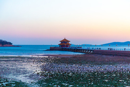 青島棧橋