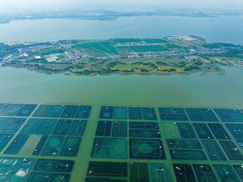 江蘇蘇州陽澄湖大閘蟹養(yǎng)殖基地