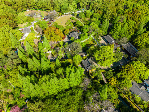 江蘇蘇州上方山森林公園