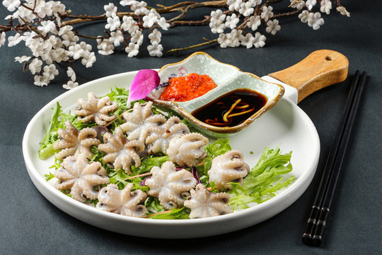 八爪魚(yú)