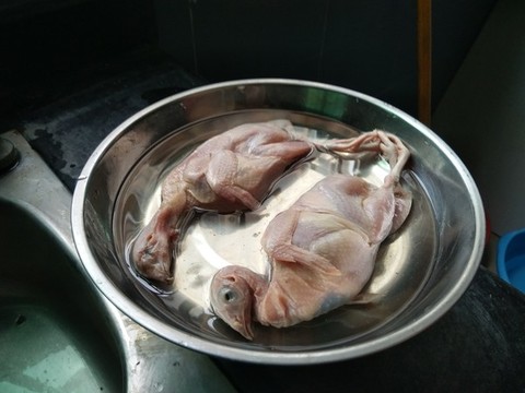 雞肉