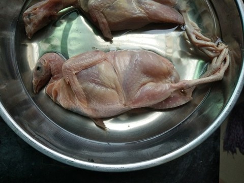 雞肉