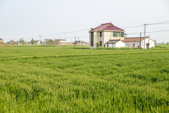 農(nóng)村田野住宅