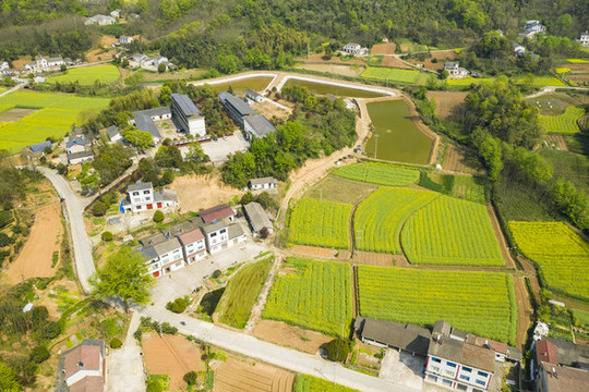 田園航拍