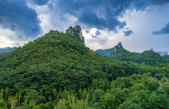 柳州馬鹿山公園