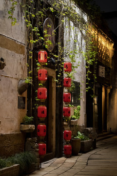 嘉興月河夜景