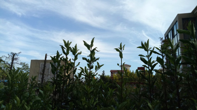 城市云景