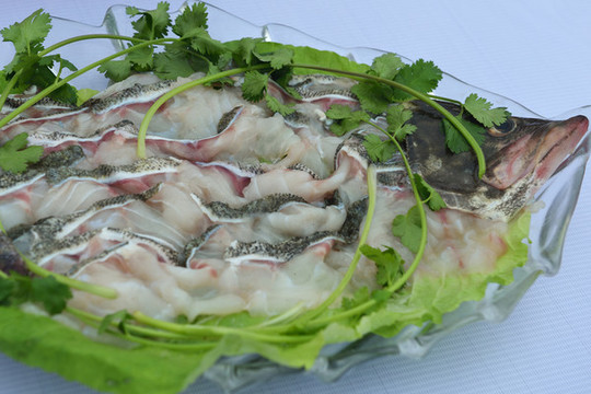 鱸魚片