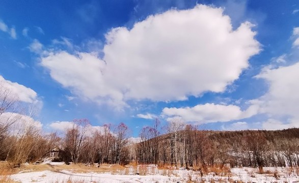 大山里的春天