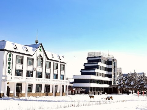 春天的雪掛