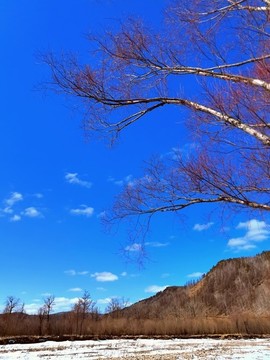 大山里的春天
