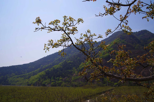 紅杏之鄉(xiāng)北寨