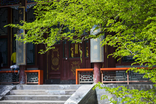 春季