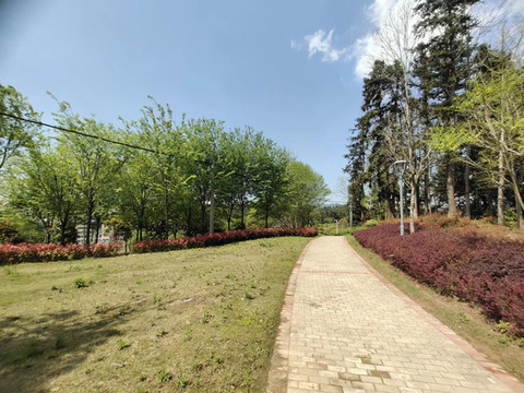 公園藍天白云