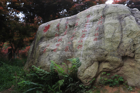 楓葉