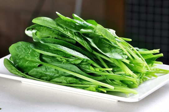 菠菜