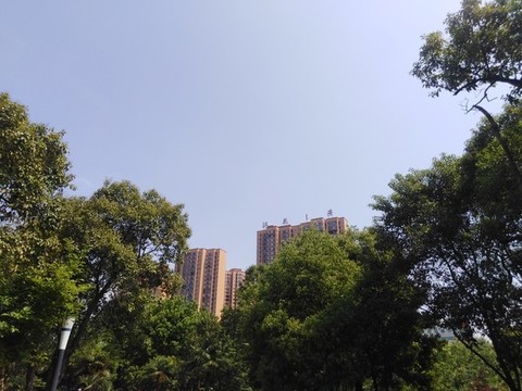 被遮擋的樓房