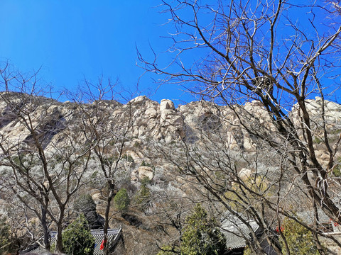 鳳凰嶺
