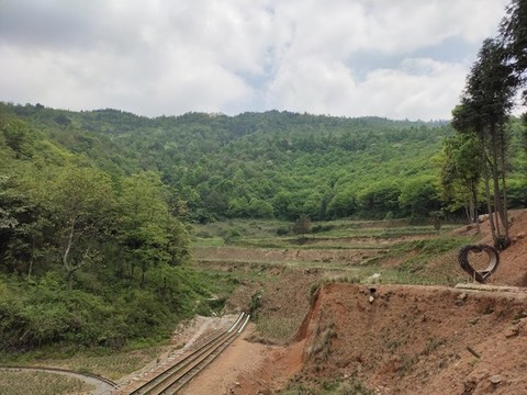 深山里的花田