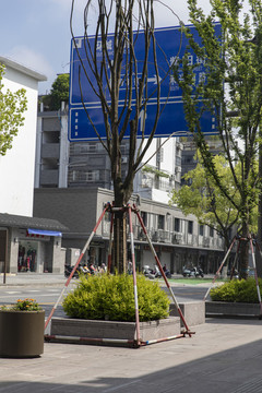 樹池