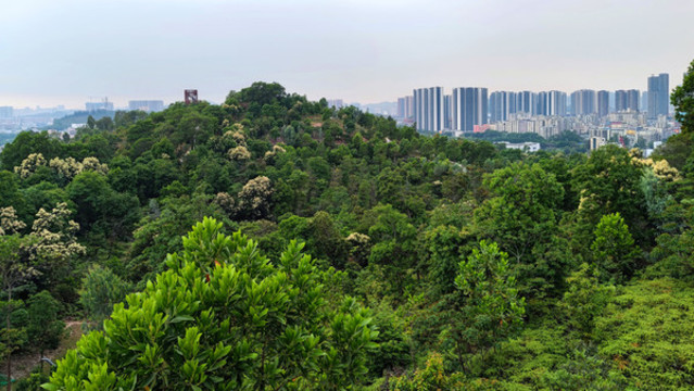 深圳嶂背郊野公園
