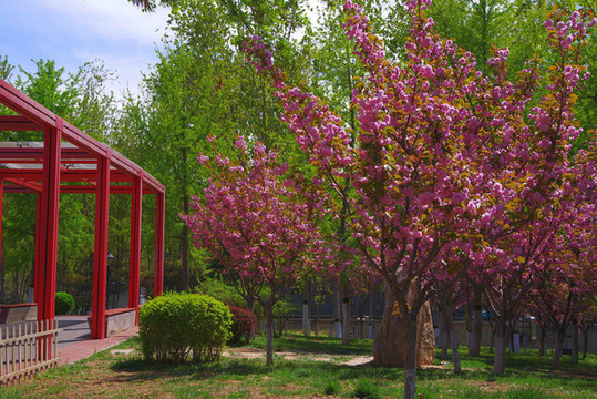 北京地鐵文化公園