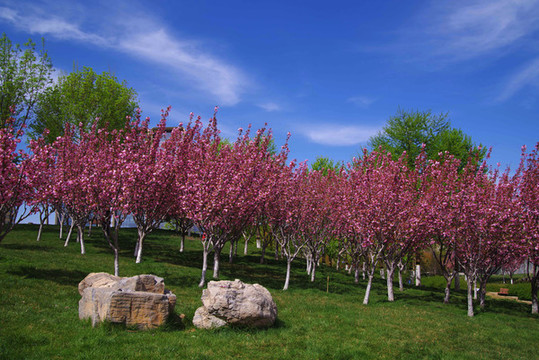 北京地鐵文化公園