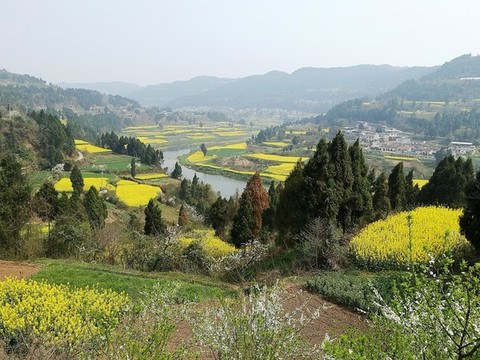 鄉(xiāng)村春色