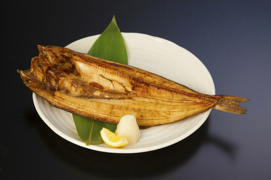 阿特卡鯖魚阿拉斯加六線魚