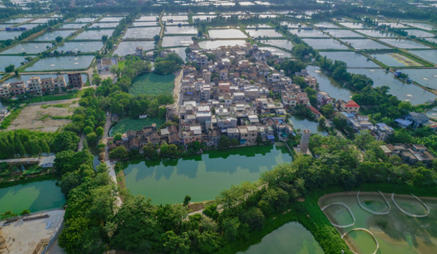 美麗鄉(xiāng)村