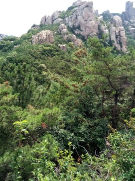 嶗山頂峰