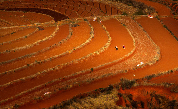 云南昆明東川紅土地
