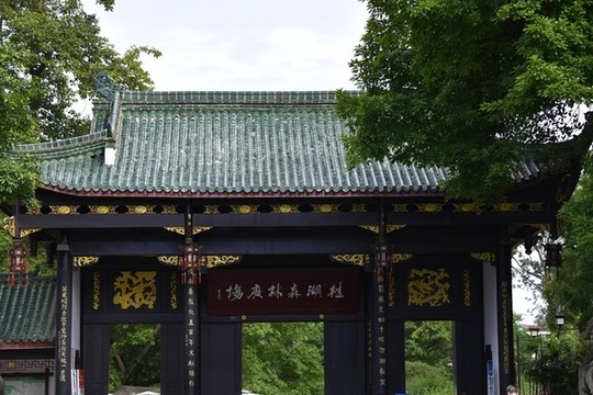 桂湖森林廣場