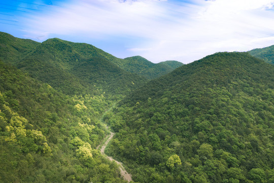 湖州莫干山