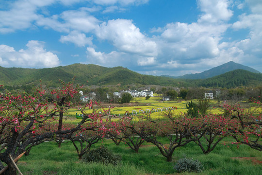 鄉(xiāng)村風光