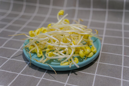豆芽菜