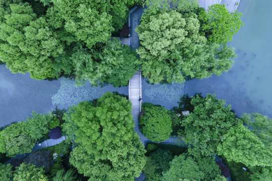 臨平水景公園