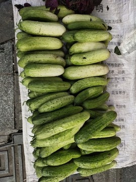 黃瓜